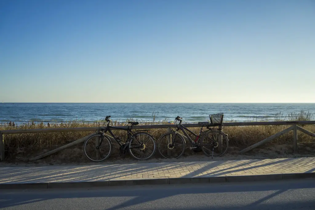 Two bicycles parked along the Strand bike path beside the ocean, representing the Marvin Braude Trail in Los Angeles.