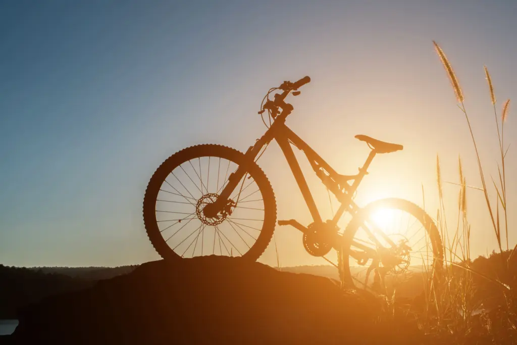 Mountain Bike Tires: Which Width and Tread for LA Trails?